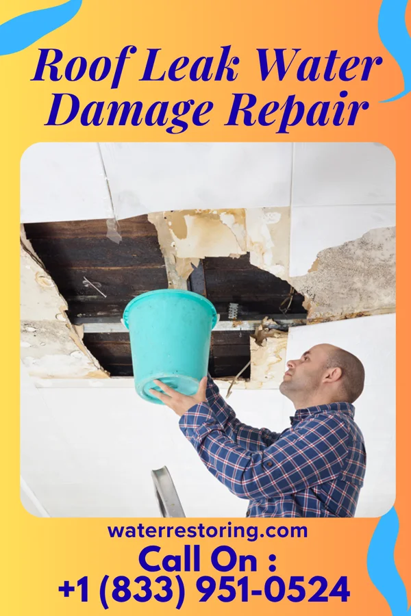 Roof Leak Water Damage Repair in Weston, TX